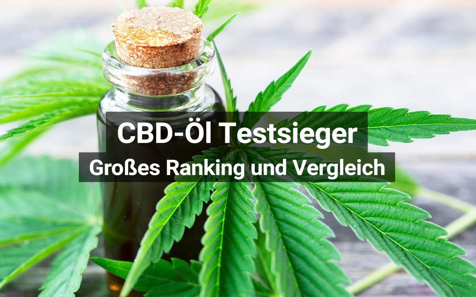 CBD-Preisvergleich 2025